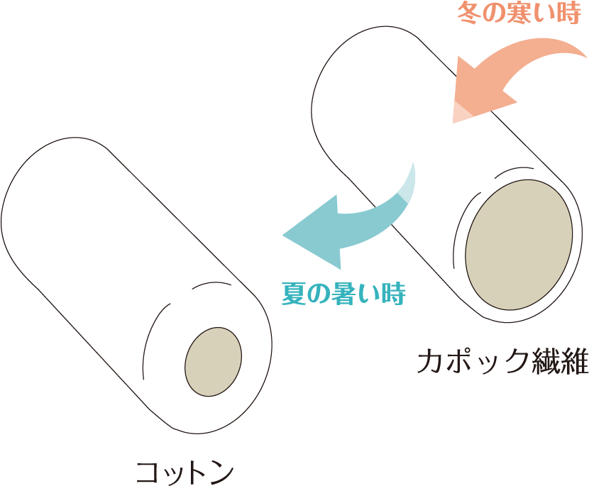 繊維の断面図イメージ