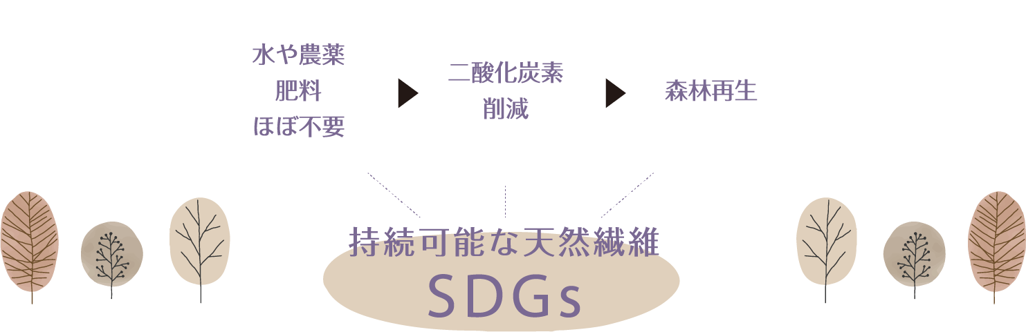 水や農薬・肥料ほぼ不要、二酸化炭素削減、森林再生、持続可能な天然繊維SDGs